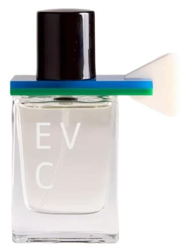 Into by EVC PARFUM bottle
