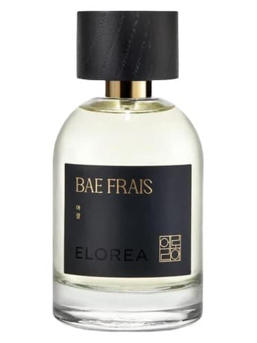 BAE FRAIS (아람)| 향수 by ELOREA | 향수 bottle
